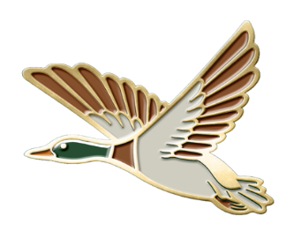 Pin's Barbour Canard