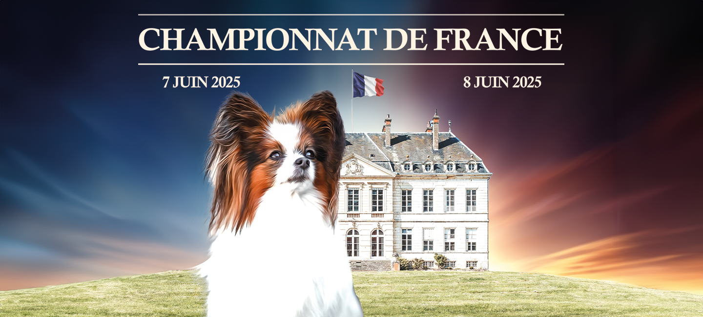 Championnat de France du Chien de Race