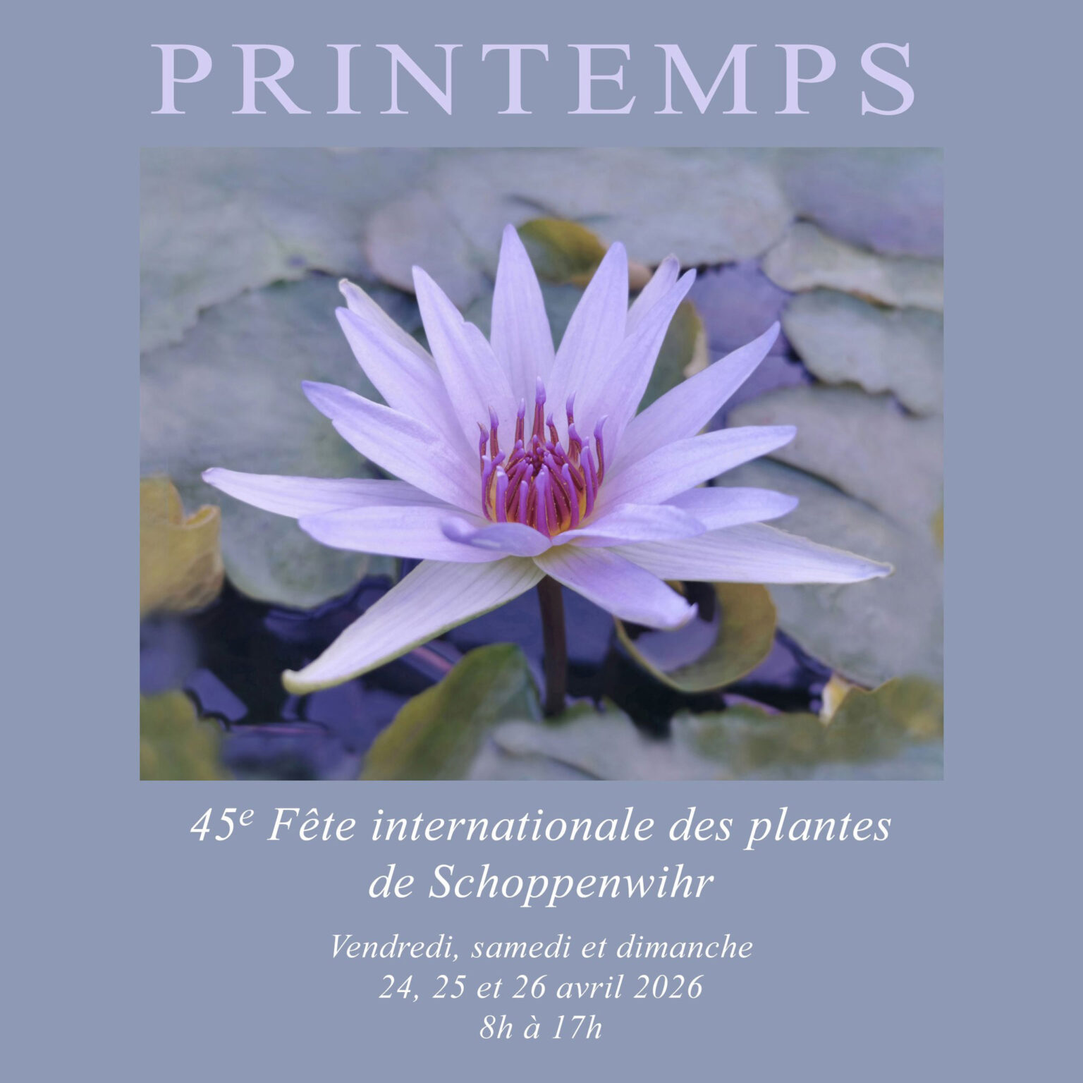 45&egrave;me F&ecirc;te internationale des plantes de Schoppenwihr