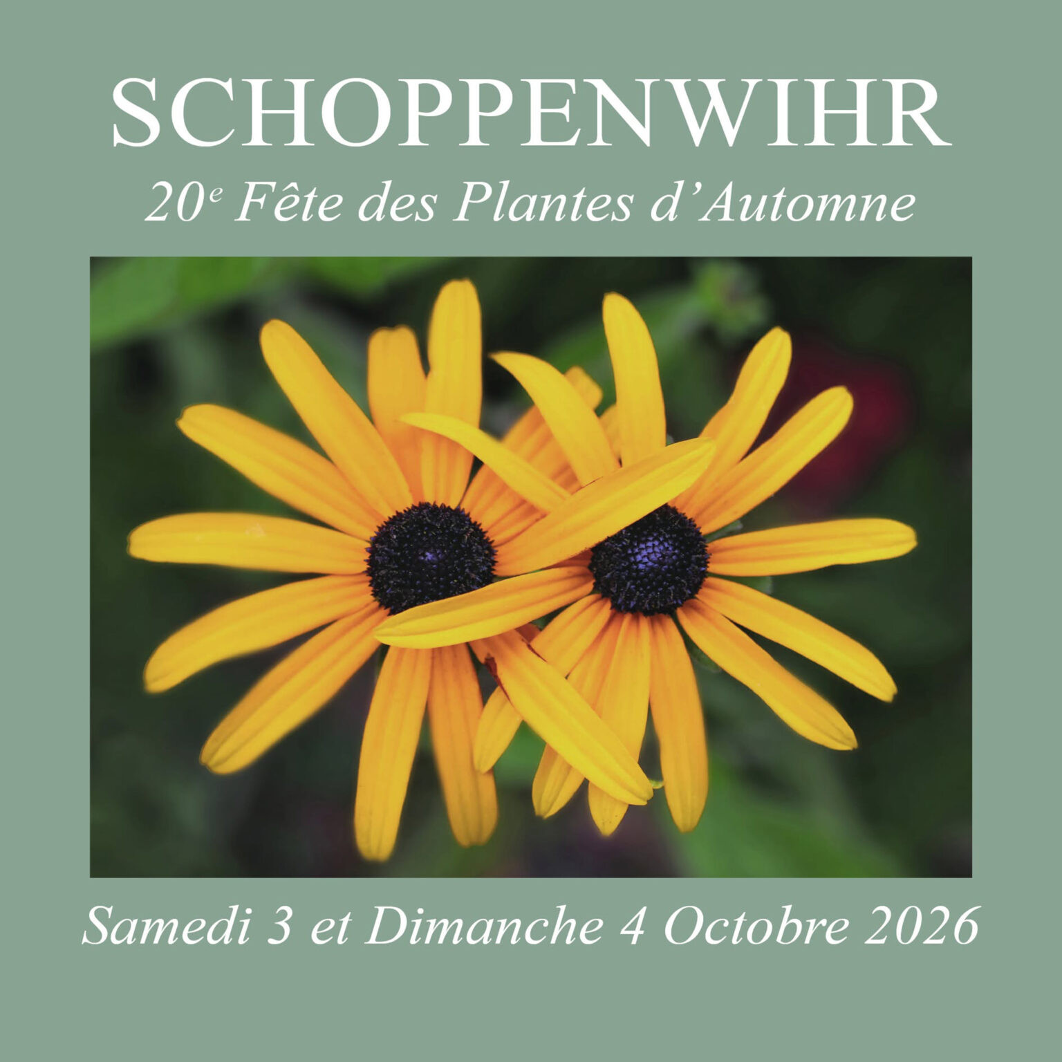  20e F&ecirc;te des Plantes de Schoppenwihr