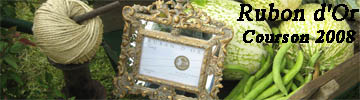 courson-printemps-2008.jpg